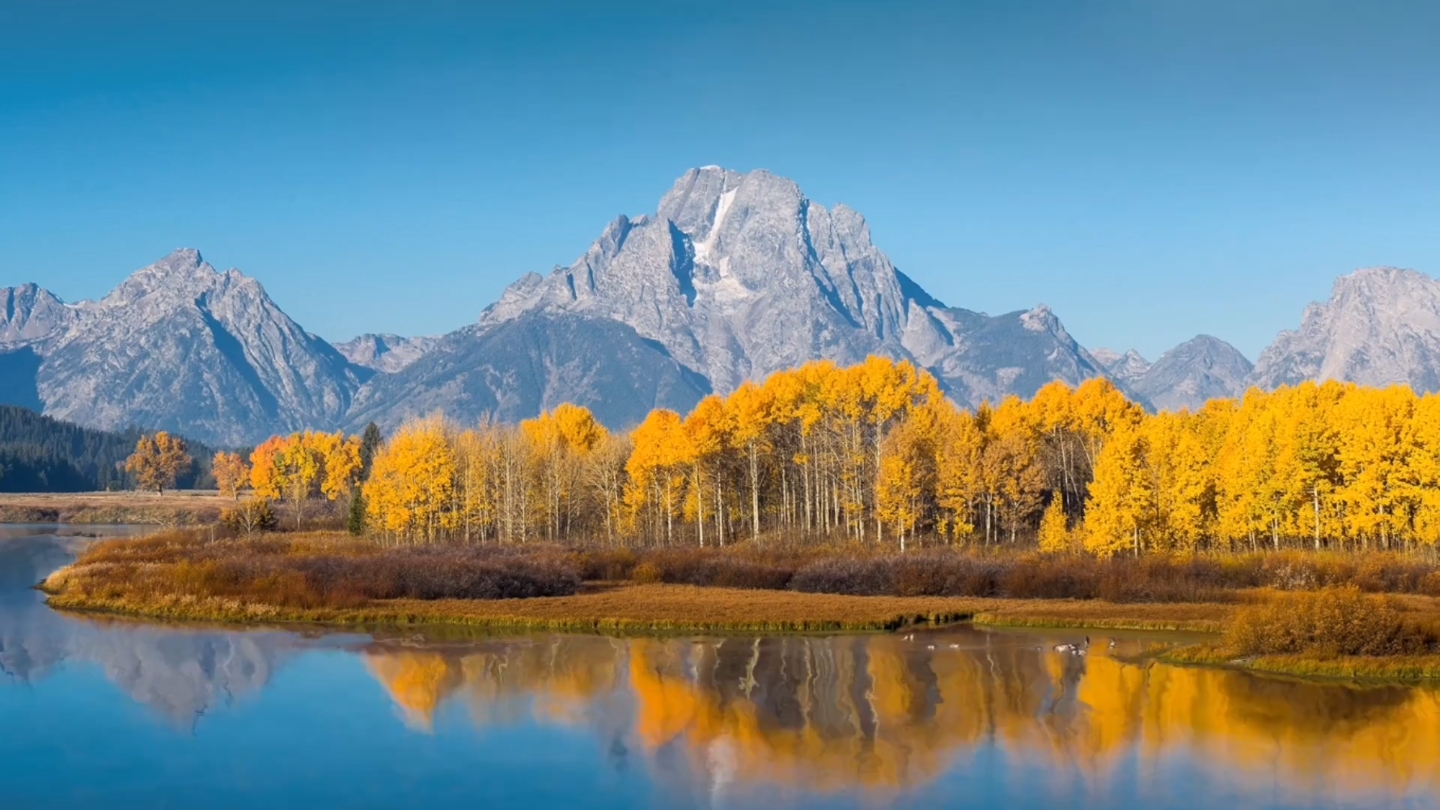 中国职场励志电影_职场励志电影国内电影_国产职场励志电影