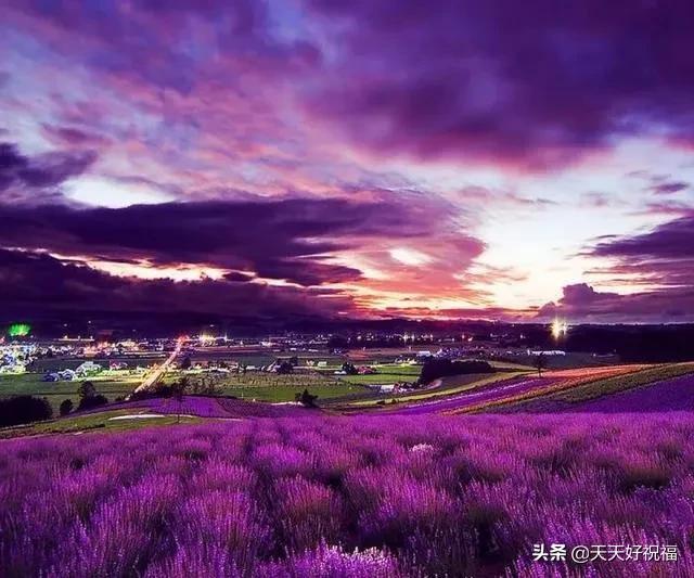 职场励志语录经典短句2019_职场励志经典语录_2020职场励志语录