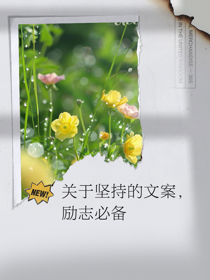 职场励志及感悟_职场励志感悟心得_职场励志感悟心得体会