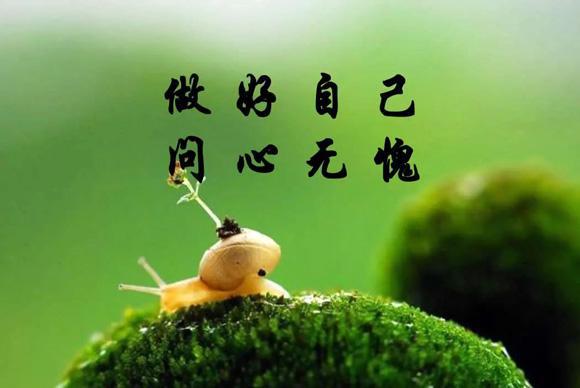 职场哲理漫画_职场正能量励志漫画_职场励志图