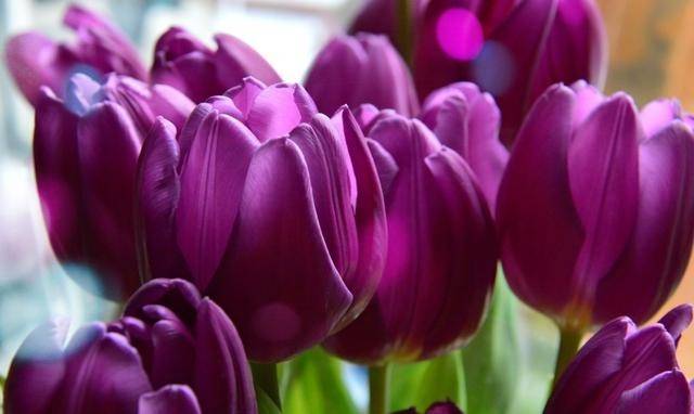 语录职场励志老板的句子_老板职场励志语录_老板励志短句