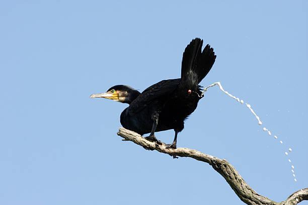 职场励志故事小故事_职场上的励志小故事_职场励志故事小故事及感悟