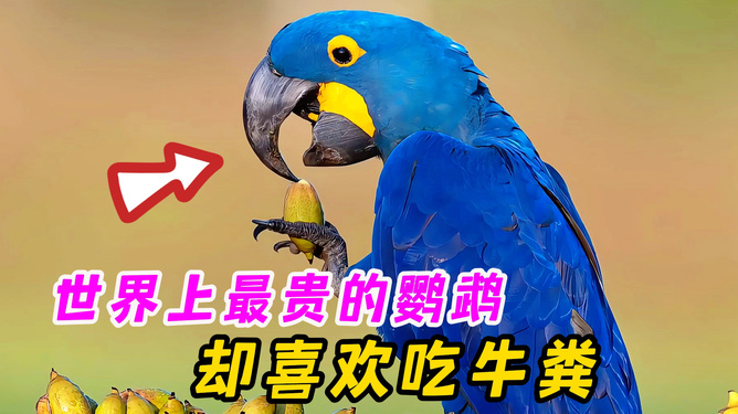 职场励志故事小故事_职场上的励志小故事_职场励志故事小故事及感悟