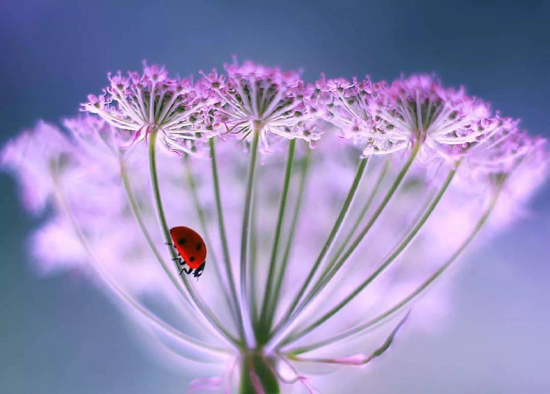 励志职场电影_中国职场励志电影_职场激励的电影