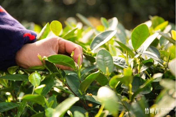 5本经典的职场励志小说_职场励志言情文笔好的小说_职场励志类小说