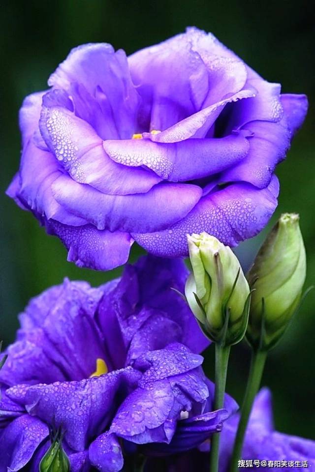 励志短句职场_职场励志语言_职场励志语录