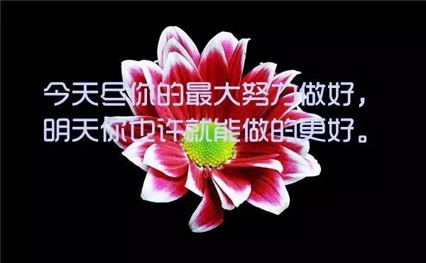 职场早安正能量句子励志_职场早安励志语录_职场励志早安心语