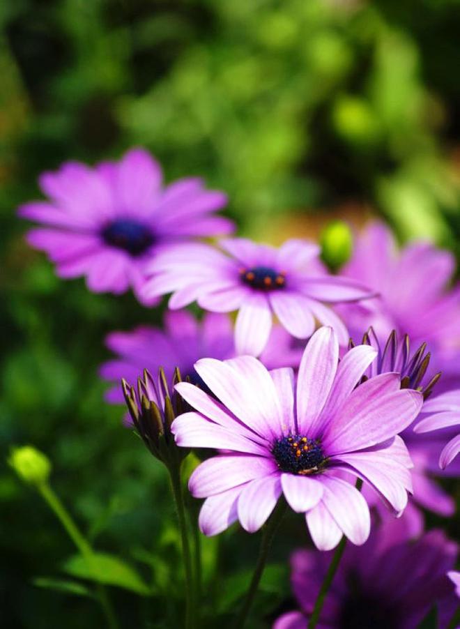 老板励志语录格言_职场老板励志语录_老板的励志语录