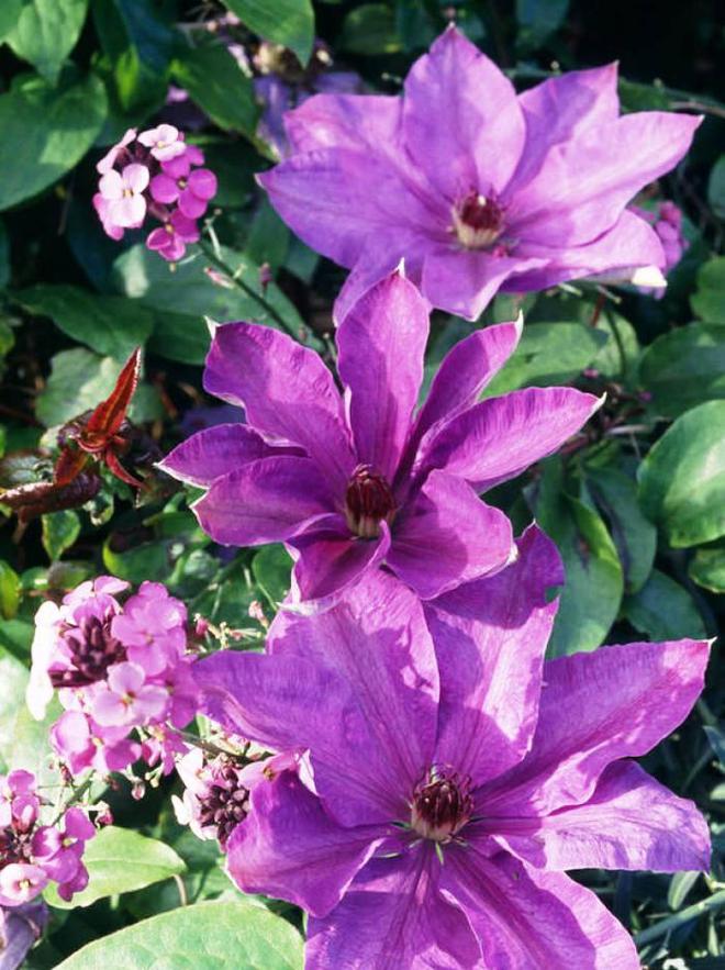 老板励志语录格言_职场老板励志语录_老板的励志语录