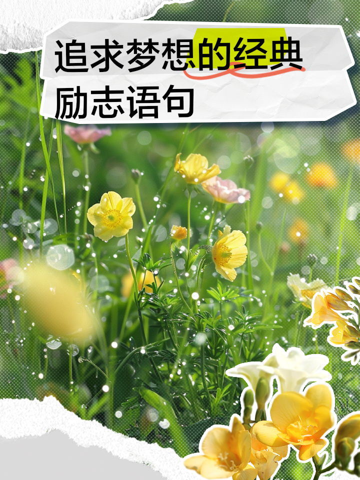 职场励志系列:2 做人做到位_职场做人之道经典语录_做人做事做到位