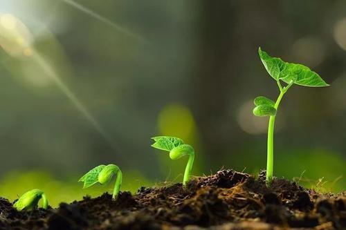 职场励志人生的句子_职场人生励志_职场励志人生短句