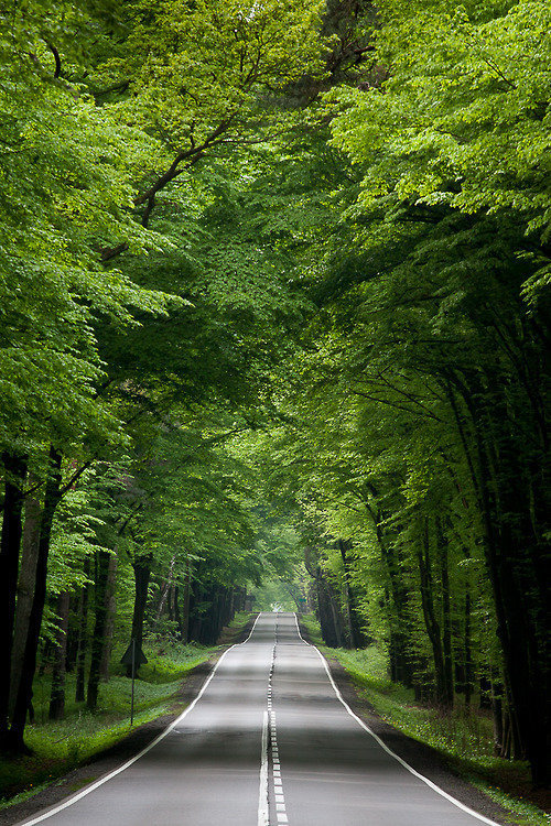 职场人生励志_职场励志语录_职场励志人生的句子