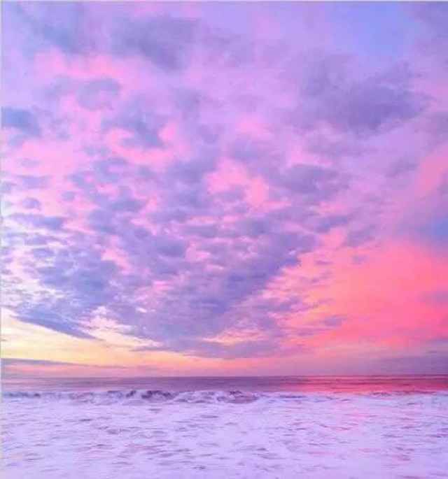 职场励志电视剧排行榜前十名_日本励志职场剧_职场励志日剧