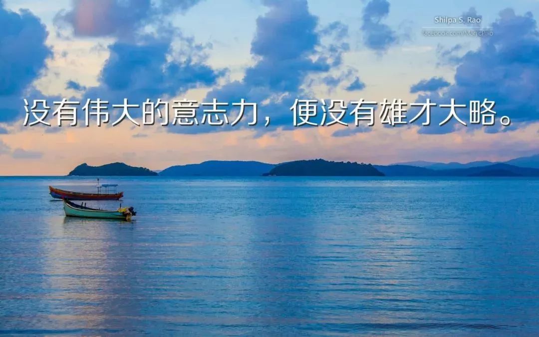 职场坚强励志语录_语录职场励志坚强的话_语录职场励志坚强的句子