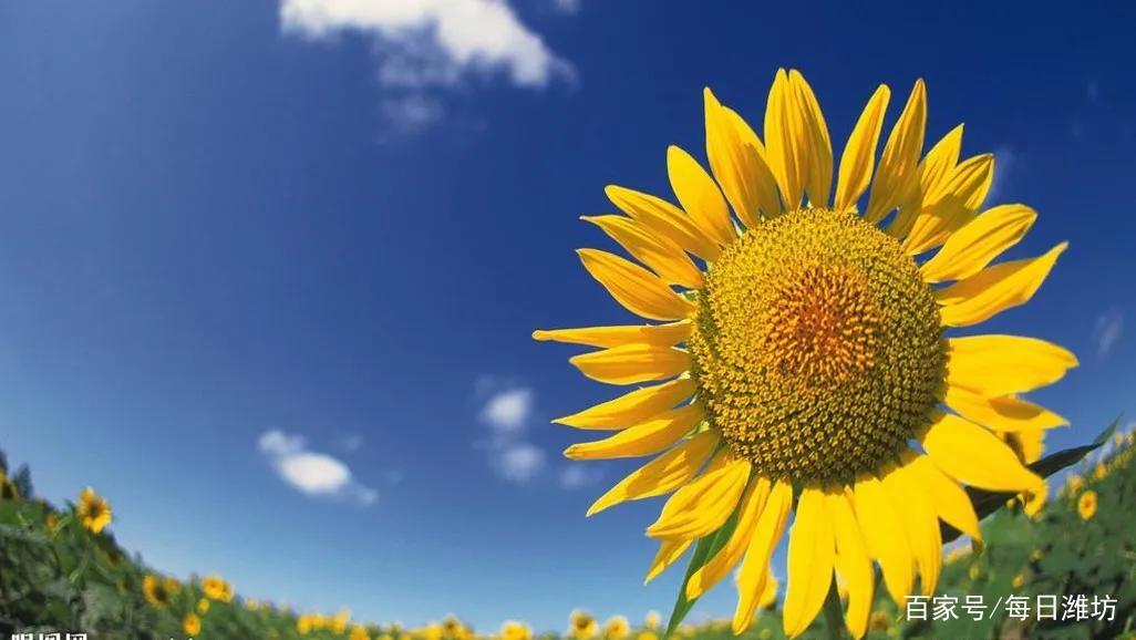 排行职场励志小说有哪些_职场励志小说排行_5本经典的职场励志小说