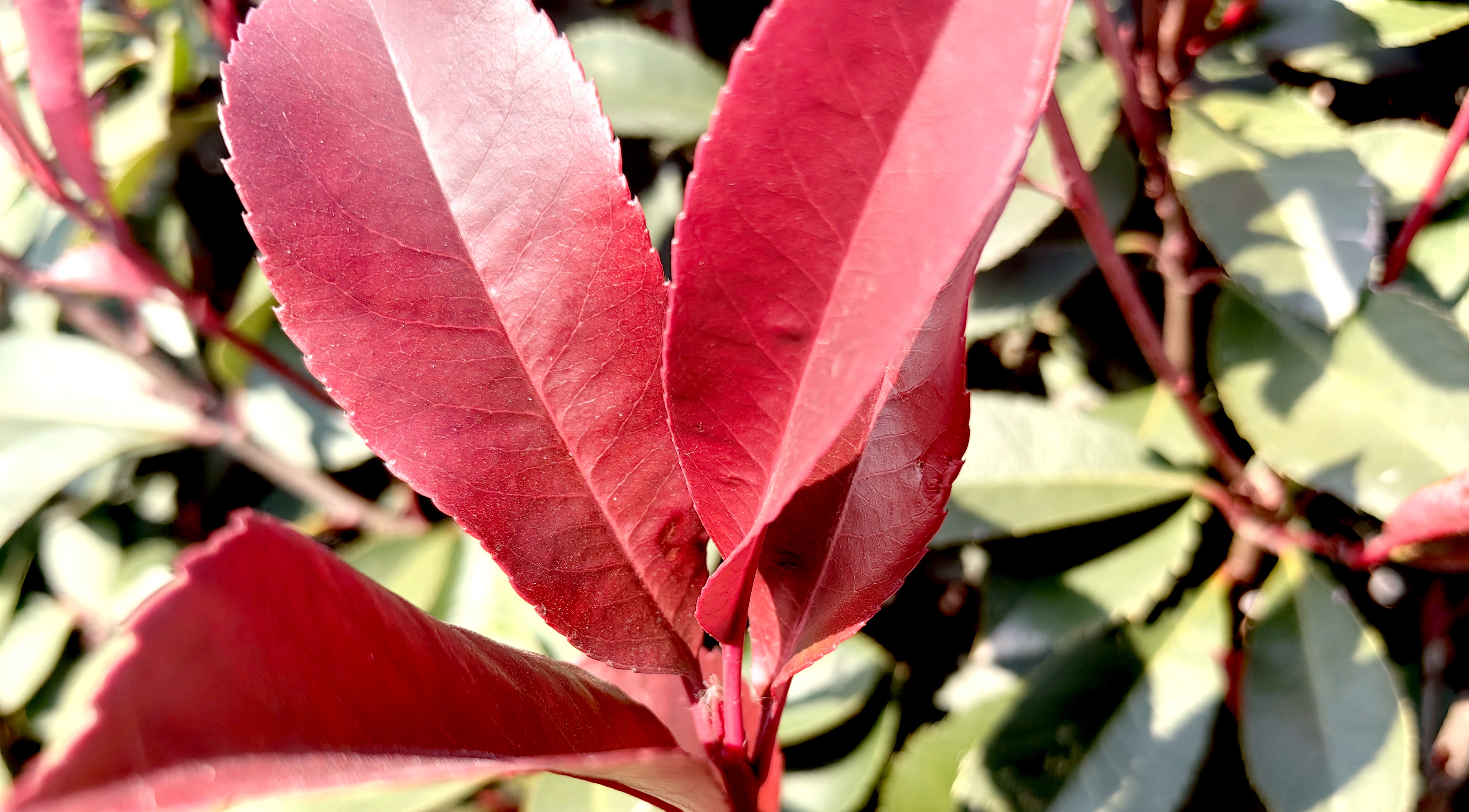 职场激励小故事_职场励志五分钟小故事_职场励志故事小故事及感悟