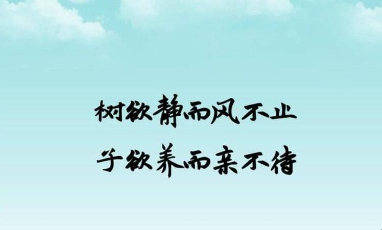 职场励志故事小故事及感悟_职场 励志故事_职场励志故事及感悟个人成长