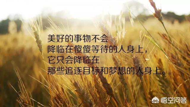 职场经典语录励志_2020职场励志语录_职场语录经典语录励志