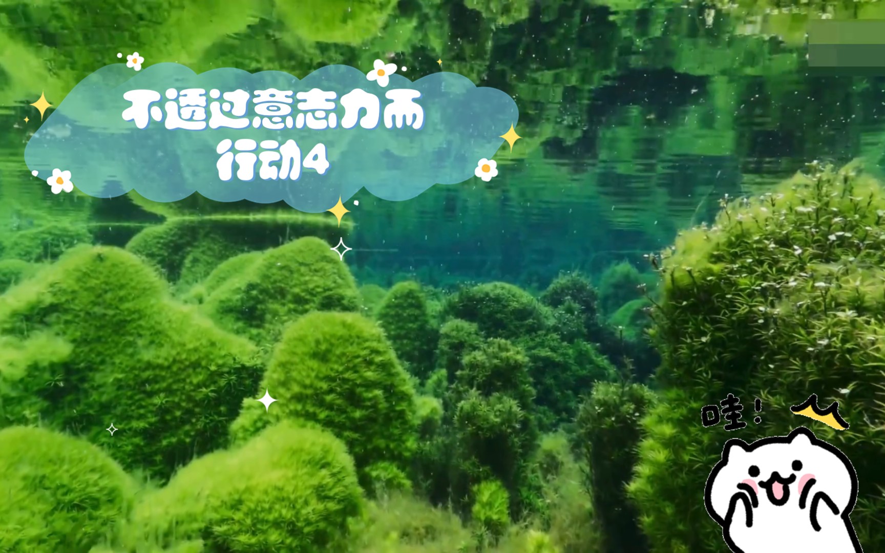 老板的励志语录_老板励志语录格言_职场老板励志语录