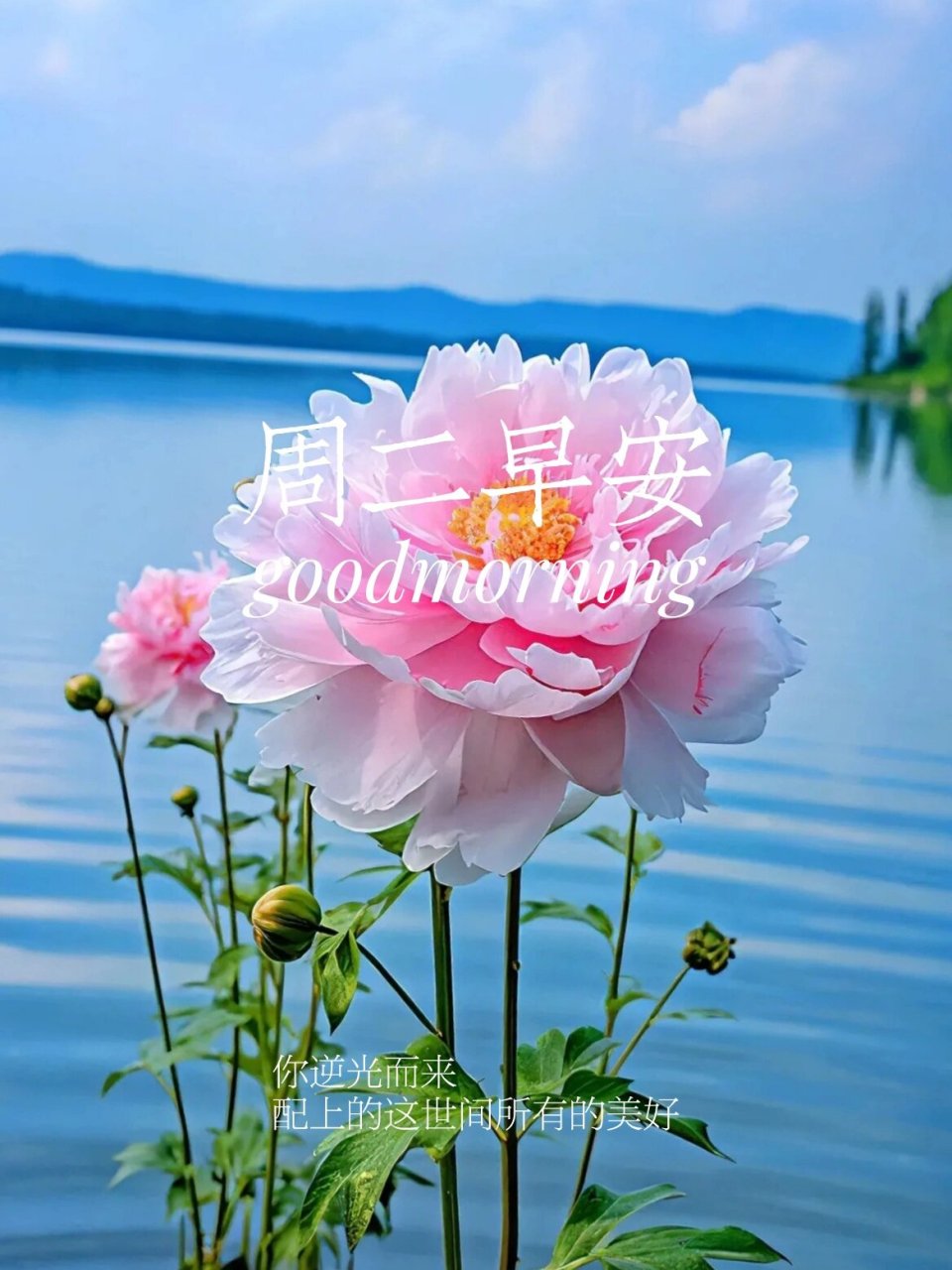 职场经典语录励志正能量的_职场励志经典语录_职场语录