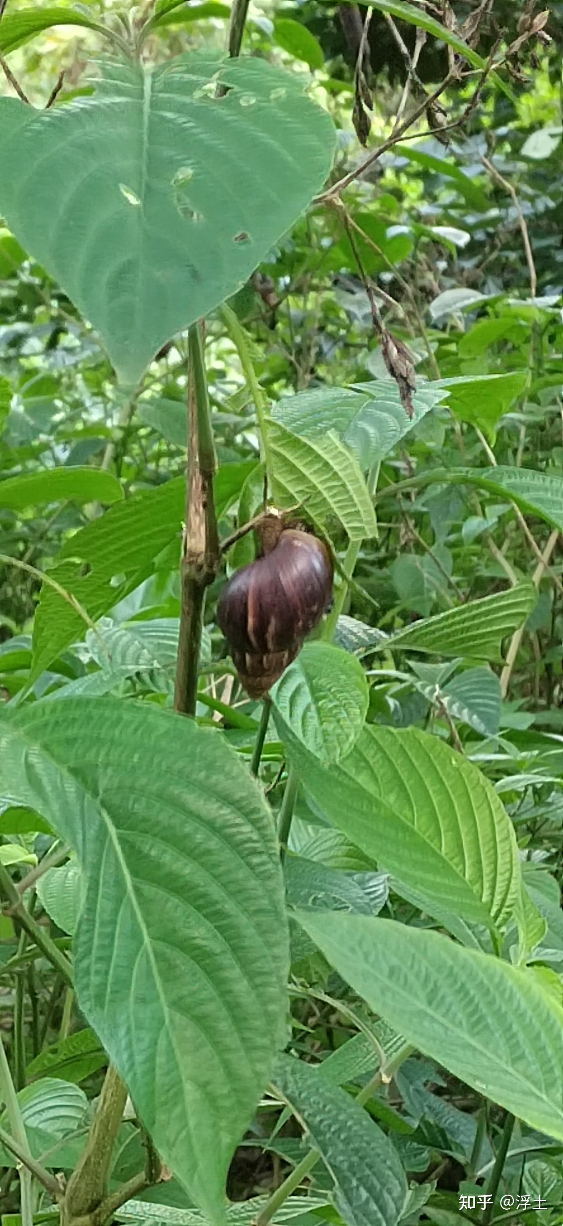职场新人理财问题怎么解决_职场新人理财问题_职场新人投资理财