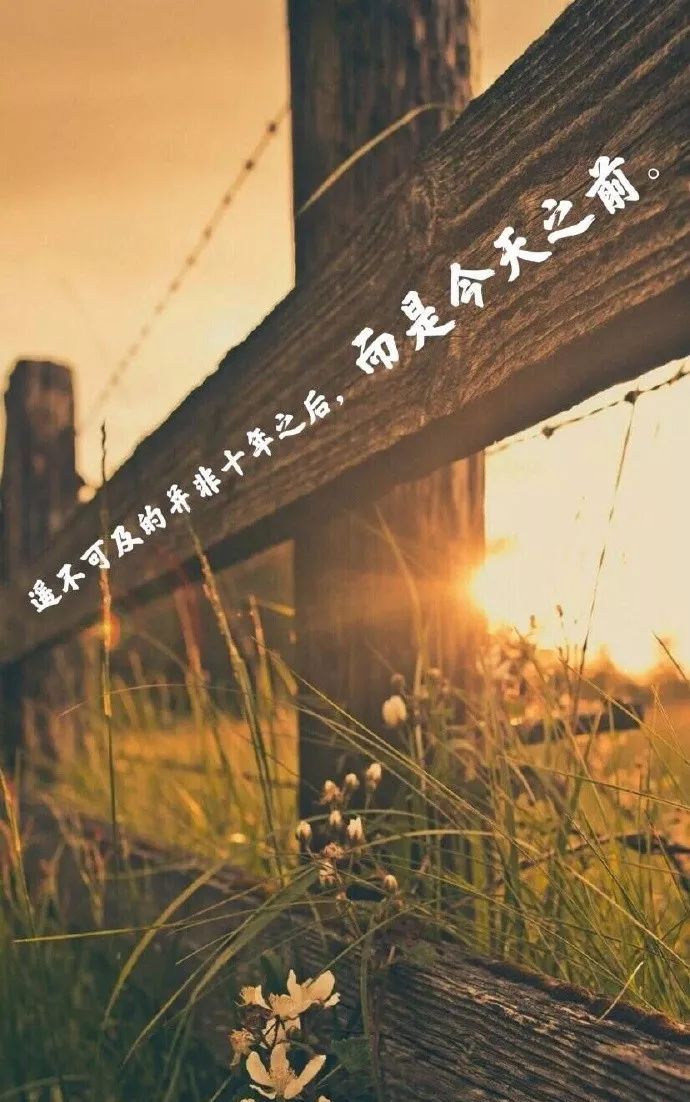 职场励志鸡汤文_职场一句话经典励志心灵鸡汤语录_职场励志心灵鸡汤短文