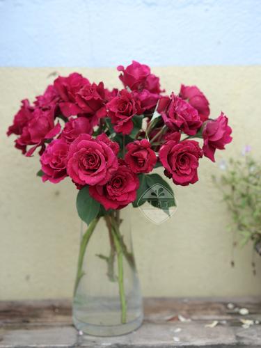 职场励志及感悟_职场励志感悟100字_职场励志感悟心得体会