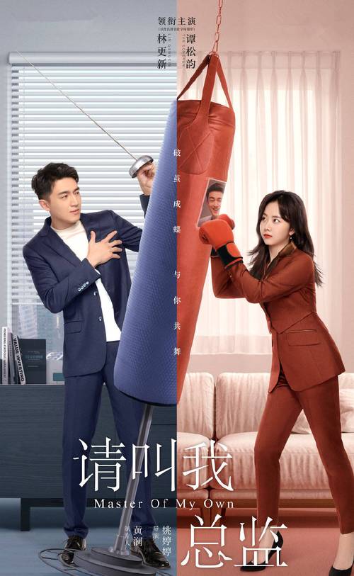 职场必看十大励志电视剧_职场励志电视剧推荐_职场励志电视剧有哪些