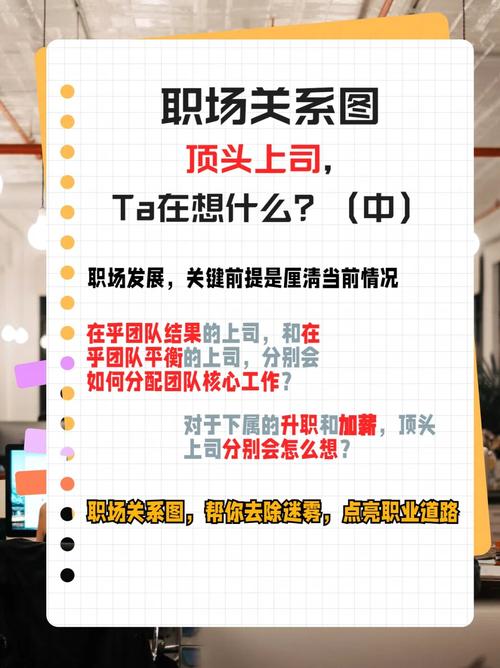 职场励志的电视剧_职场励志电视剧排行榜前十名_职场励志电视剧大全