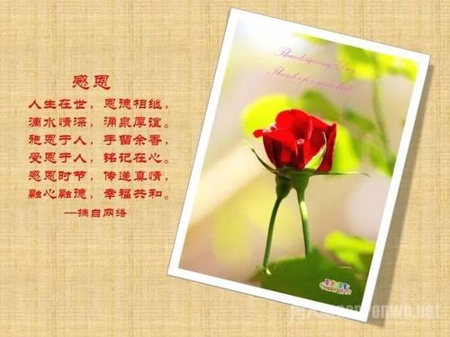 职场鸡汤短句_职场的励志鸡汤语录_职场一句话经典励志心灵鸡汤语录