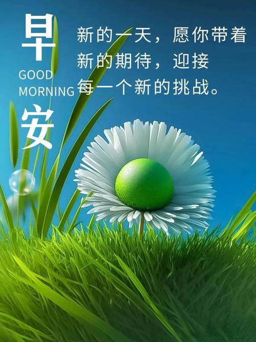 语录职场励志能量短句_2020职场励志语录_职场正能量励志语录