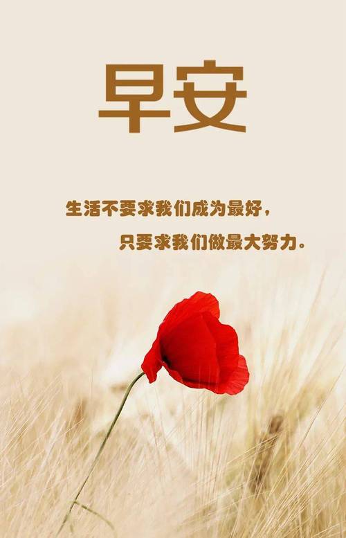 职场早安正能量句子励志_职场励志语录简短早安图片大全_职场早安励志语录