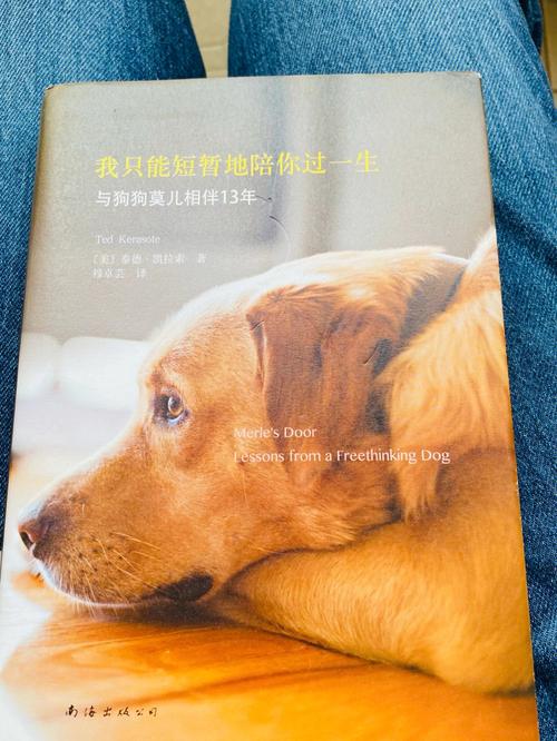 励志故事职场正能量_职场励志心态小故事_职场励志小故事及感悟