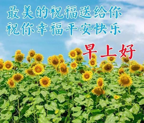 职场早安励志语录_职场早安正能量句子励志_职场励志早安心语