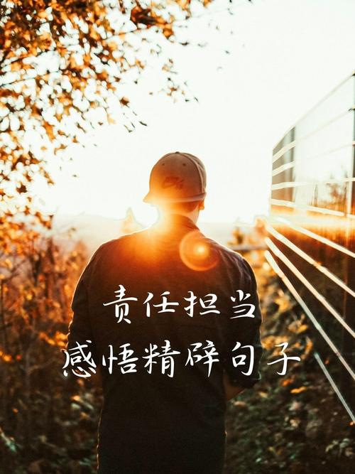 职场视频素材_职场激励视频_职场励志视频