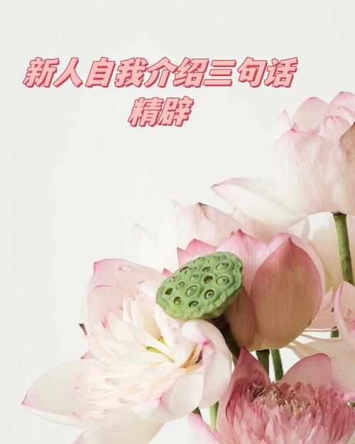 职场面试问题及答案_职场面试问题_职场面试问题大全及答案大全