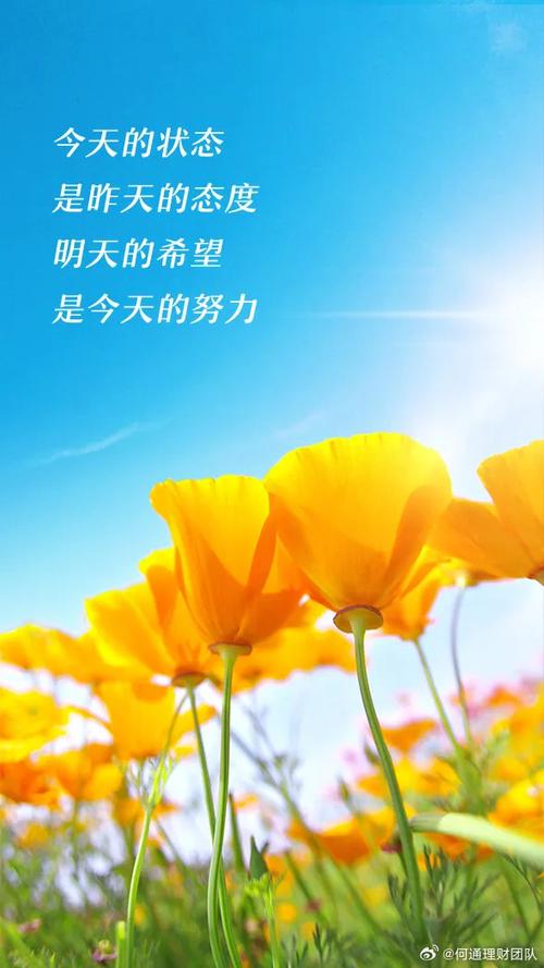 职场正能量励志语录_职场励志语录经典短句2019_2020职场励志语录