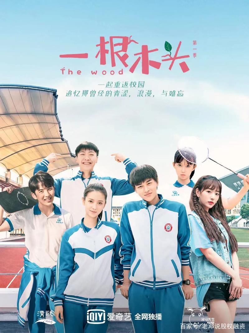 职场励志电影国内电影_中国职场励志电影_职场励志电视