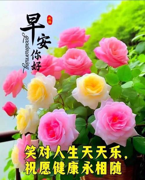 关于职场团队的正能量的励志句子_励志工作正能量句子团队_职场励志小故事团队及感悟