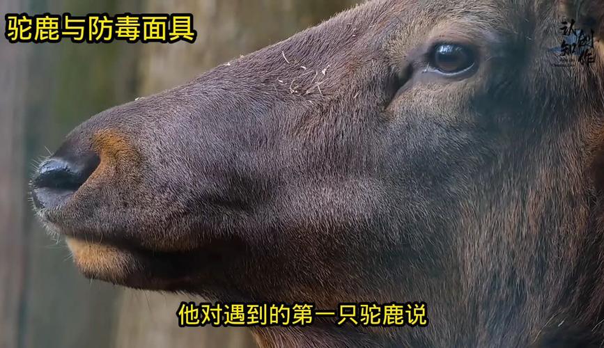 职场励志销售故事小说_销售职场励志小故事_职场销售小故事大道理