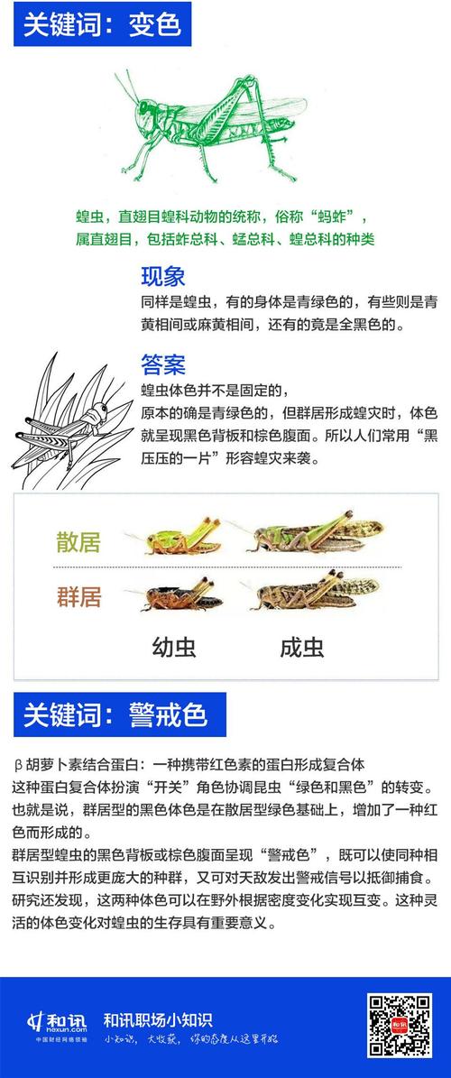 团队励志故事小故事_团队激励小故事_职场团队励志小故事