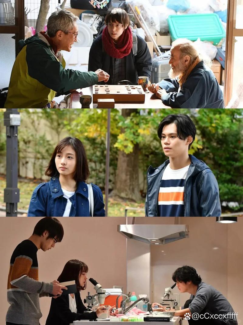 职场励志电视剧排行榜前十名_职场必看十大励志电视剧_职场励志电视剧