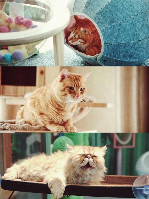 职场励志的电影_职场激励的电影_职场励志电视