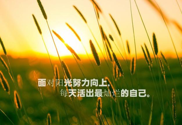 关于职场团队的正能量的励志句子_职场励志能量句子团队文案_职场鼓励团队激励的话语