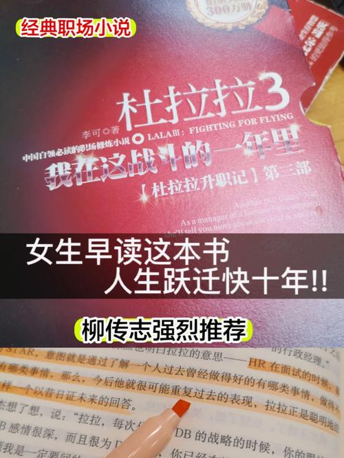 杜拉拉升职记职场启示_杜拉拉升职记职场总结_杜拉拉升职记职场问题
