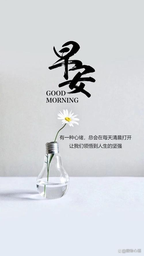 职场励志鸡汤文_职场励志的心灵鸡汤短句_职场一句话经典励志心灵鸡汤语录