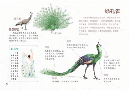 励志小故事及感悟简短早会_职场早会励志故事_励志小故事早会励志小故事