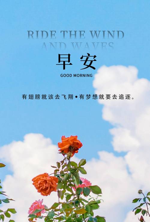 职场励志佳句_职场奋斗励志的短句_职场励志句子大全正能量