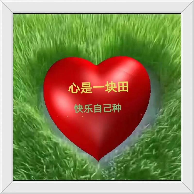 职场励志的心灵鸡汤短句_职场的励志鸡汤语录_职场一句话经典励志心灵鸡汤语录