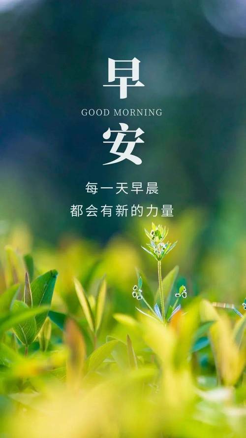 语录职场励志英文翻译_英文励志职场语录_语录职场励志英文句子